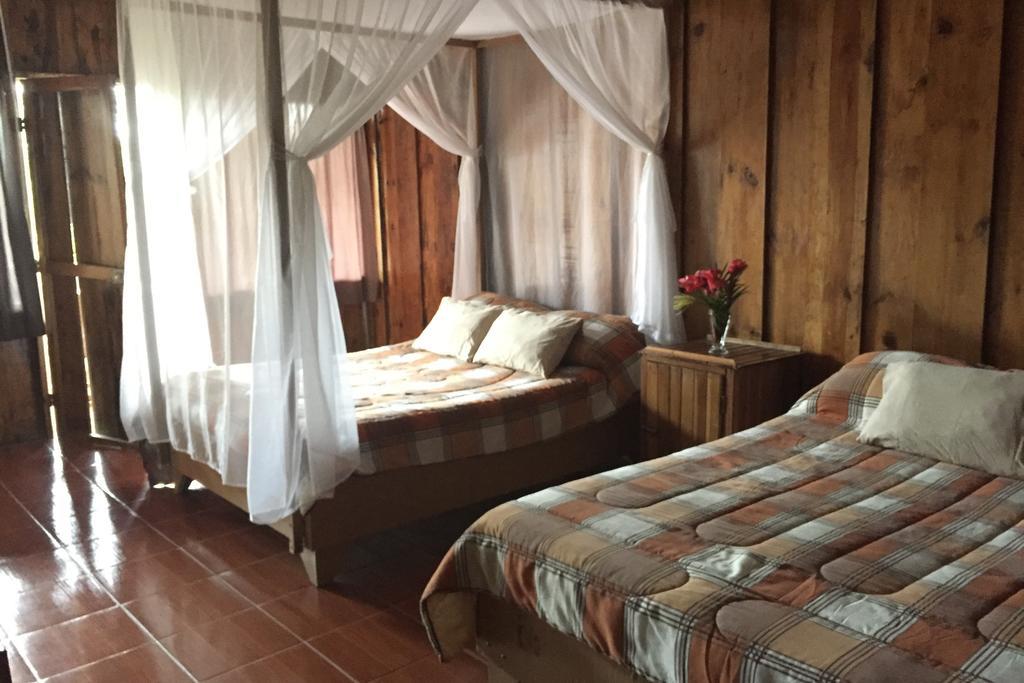 Green Mountain And Lodge Turrialba Exterior photo